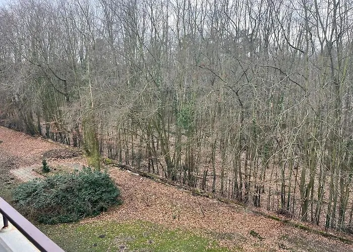 Sarah\'S Nest