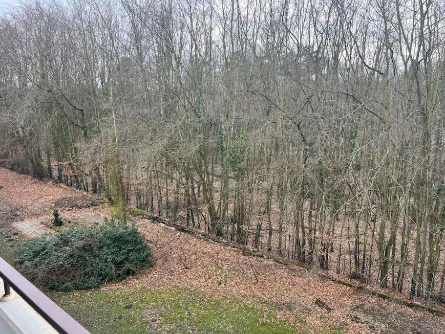 Sarah's Nest Kerpen (North Rhine-Westphalia)